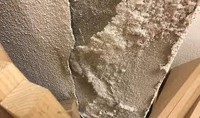 Aspergillus flavus siedelt sich auch gerne an feuchten ecken, auf baumwollstoffen und polstermöbeln an. Weisser Schimmel Erkennen Und Entfernen Casano Ch