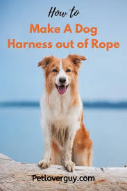 When deciding on the kind of rope to use, consider the purpose and your the material of the rope matters. How To Make Or Tie A Dog Harness Out Of Rope Pet Lover Guy