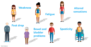One of the symptoms that women with ms may experience is the absence of menstrual periods, also known as amenorrhea. What S Causing My Symptoms Ms Trust