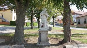 Image result for puklice