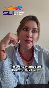 Safir Importadora Arica