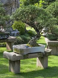 Image result for Pemphis