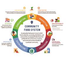 Sap bw bi consultant resume. Food Systems