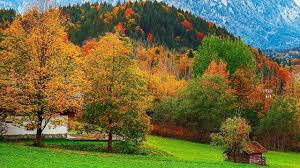 تفسير حلم إعطاء الميت للحي فاكهة للعزباء والمتزوجة والحامل والمطلقة والرجل في الغالب ما يشير إلى معاني حميدة، لأن رؤية الفاكهة بشكل عام في المنام تبشر بالرزق والسعادة والخير وتختلف الرؤية في التفسير لو ظهرت في منام. Ø¯Ø¹Ø§Ø¡ Ø§ÙÙÙØª ÙÙØ­Ù ÙÙ Ø§ÙÙÙØ§Ù ÙÙØ¹Ø²Ø¨Ø§Ø¡