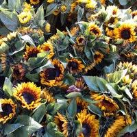 We are located in the heart of new york city's flower market, and have had the pleasure of serving our. Associated Cut Flower Chelsea 131 W 28th St