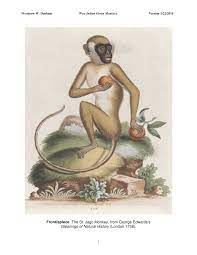 His coin collection was sold by him. Pdf West Indian Green Monkeys Problems In Historical Biogeography