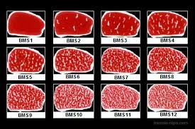 Quilo De Carne De Boi Da Raca Wagyu Pode Custar Ate Us 1 Mil No Japao Mundo Nipo