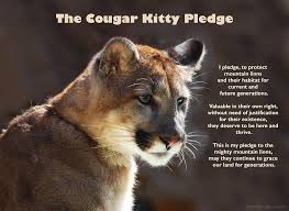 Well, what do you know? Kid S Corner Mountain Lion Foundation