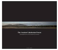 The Ancient Caledonian Forest by Ben Clifton