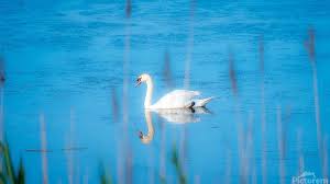 Jason Fink Photography 📸 (@JasonFink_photography@universeodon.com)