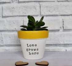 Such A Cute Little Pot Love Grows Here Waterspray Water Spray Animation Painted Plant Pots Plant Pot Diy White Flower Pot