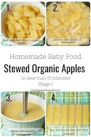 Homemade Stage 1 Baby Food Recipes Baby Food Recipes Homemade Baby Foods Baby Puree Recipes