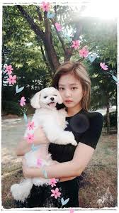 Check spelling or type a new query. Jennie Wallpaper Lockscreen Kim Jennie Amino