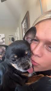 Lost Dog Found at Prestonville Shell Carryout in Kentucky