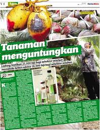 Bagian tanaman khat yang mampu merangsang pemakainya adalah daun muda dan batangnya. Tanaman Menguntungkan Klik