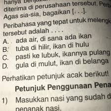 Q ikan pulang ke lubuk. Tolong Artiin Peribahasa A D Ya Kak Brainly Co Id