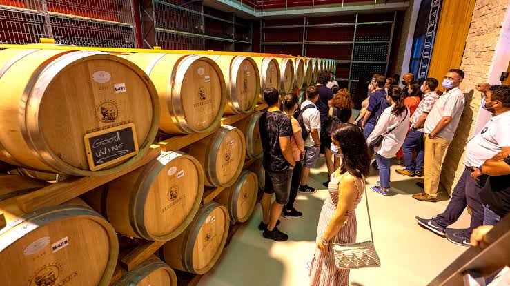 Crama Budureasca - Wine Trips Romania