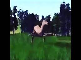 Deer Ride Meme Youtube