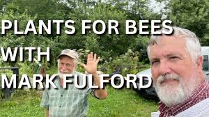Plants for bees with Mark Fulford