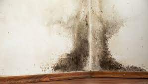 Yazımızın devamın da duvar kağıdının nasıl temizlenmesi gerektiğini sizlere adım adım anlatıcaz. Duvardaki Is Lekesi Nasil Cikar Pratik Yontemleri Ve Malzemeleri