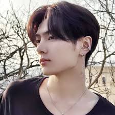 Niki Enhypen Ear Pierced