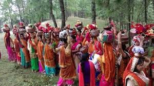 Women Process Kalash yatra before starting Shivkatha in Devidhura देवीधुरा  में शिवकथा होने से पूर्व महिलाओं ने निकाली कलश यात्रा , Haldwani Hindi News  - Hindustan