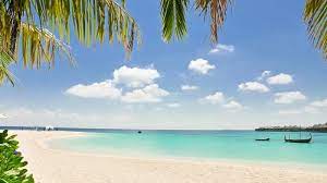 Virtual Background Zoom Pemandangan Latar Belakang Pantai