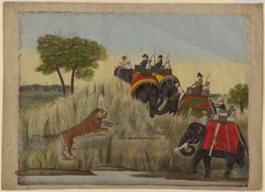 Four elephants with Europeans seated in the howdahs taking part in a tiger hunt. | Unknown | V&A Explore The Collections