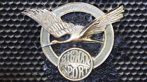 Check spelling or type a new query. All Car Logos With Wings