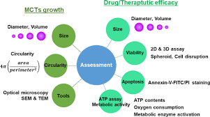 Check spelling or type a new query. Challenges Of Applying Multicellular Tumor Spheroids In Preclinical Phase Cancer Cell International Full Text