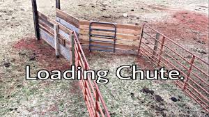 Mini portable cattle pen p c cattle pens. Wooden Cattle Loading Chute From Scrap Wood Youtube