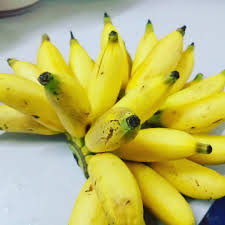 Buah pisang cavendish merupakan jenis pisang dengan komoditi ekspor terbesar di filiphina. Going Absolutely Bananas Free Malaysia Today Fmt