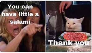 Cats can have a litle smlami as a treat. Memes 2 0 Cats Can Have A Little Salami Wattpad