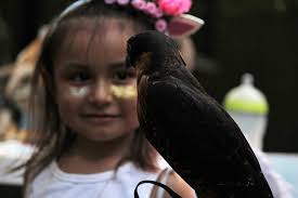 Belize Raptor Center added a new...