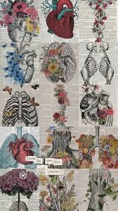 Pin By Noor On Wallpapers Anatomy Art Art Wallpaper Medical Wallpaper