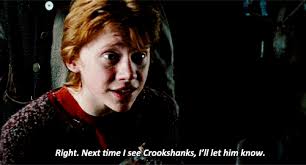 During the shunning of hermione, we pretty much just get scenes with him and harry. 130 Images About Harry Potter On We Heart It See More About Harry Potter Hermione Granger And Hogwarts