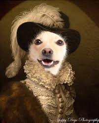 Happy Days Photography-Letitia Breen