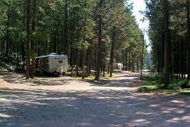 Check spelling or type a new query. Big Pine Campground Custer South Dakota Us Parkadvisor