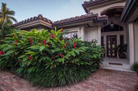 Other varieties are prettiest when left alone for a more natural look, cutting a few stems here and there to keep the plant in bounds. Tree And Shrub Care In South Florida Fertilization And Pest Control 101
