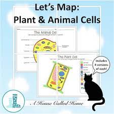 Many animal species have specific mating (or breeding) periods e.g. Let S Map Plant And Animal Cells By A House Called Home Tpt