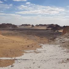 Elisa Rocco Viscontini (@elirv_02) • Instagram photos and videos