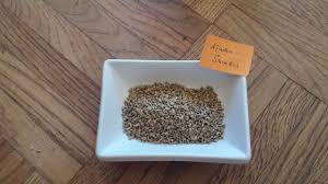However, whether you're looking for a fresh oregano substitute or a substitute for dried oregano, we compiled the following list of the 13 best oregano substitutes that will surely fulfill most of your cooking needs. 12 Best Substitutes For Oregano Substitute Cooking