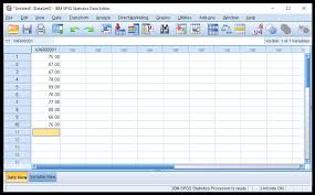 Cara Memasukkan Dan Mengolah Data Dengan Spss Advernesia