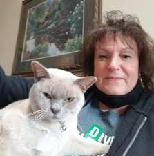 Missing Cat in Birch Island Webster