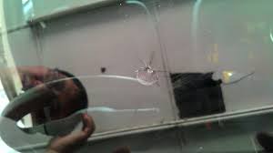 Old penang casa lagenda hotel 2 no. Luka Di Cermin Kereta Doktor Ubatkan Blog Putera Helmei