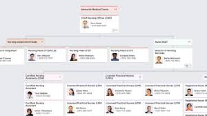 Nursing Org Chart See How Nursing Departments Are Organized In Hospitals Check Out The Hierarchy Of Positions Within Nursi Org Chart Nurse Team Nurse Office