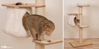 Would these cat trees look good when company comes to certainly one of the ten best cat trees for luxurious felines! Profeline Cat Trees And Scratching Posts Made In Germany