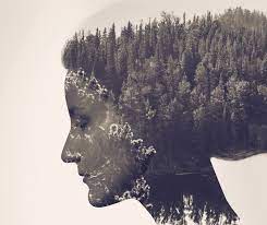 Nature and humans have always had a connection, and this sample exposure photos supports. How To Create A Double Exposure Effect In Photoshop