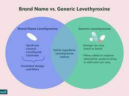 177 moderate drug interactions (2129 brand and generic names) 22 minor drug interactions (71 brand and generic names) a total of 199 drugs are known to interact with synthroid: Should You Take Generic Levothyroxine