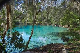 The surrounding recreation area has plenty of activities to entertain visitors. Best 10 Ocala Florida Rv Parks Campgrounds Ocala Florida Camping